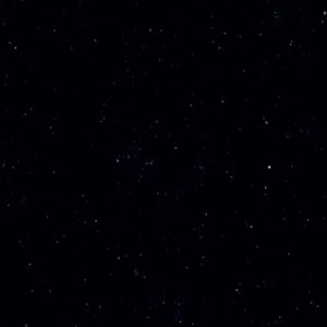 2891278590