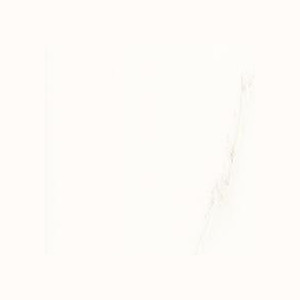 2623940169